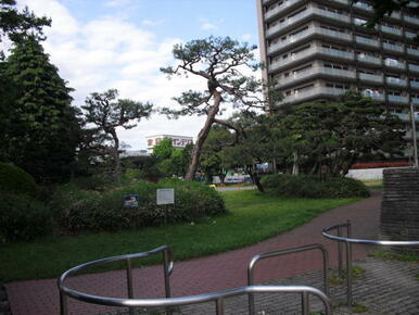 桜美公園