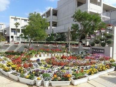 那覇市立天久小学校