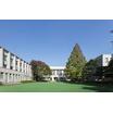 大学