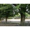 公園