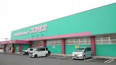 コスモス　猪野店