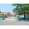 幼稚園、保育園