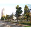 公園