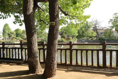 碑文谷公園