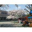 幼稚園、保育園