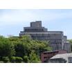 大学