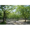 公園