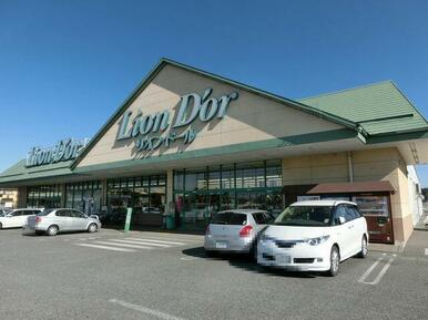 リオン・ドール高根沢東店