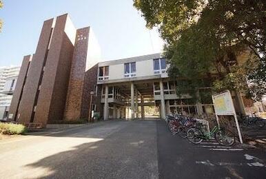 平塚市中央図書館