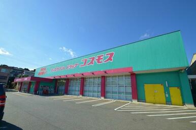 ディスカウントドラッグコスモス吉田南店