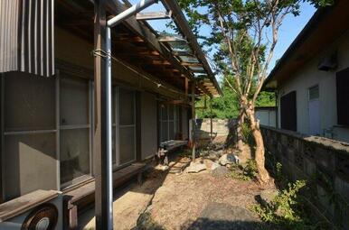 令和7年8月18日撮影