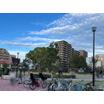公園