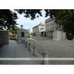 大学