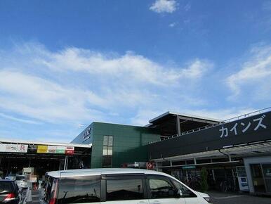 カインズ茂原店