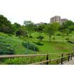 公園