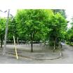 公園