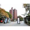 大学