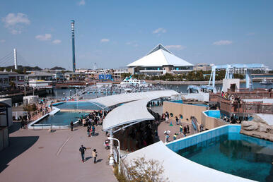 横浜・八景島シーパラダイス