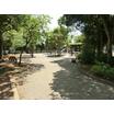 公園