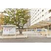 幼稚園、保育園
