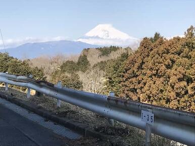 右側ガードレール部分の土地（傾斜地）