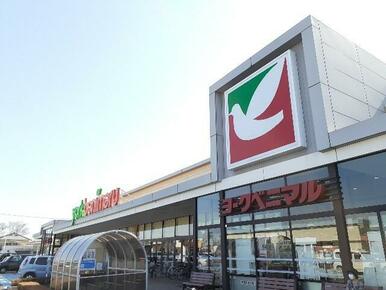 ヨークベニマル栃木祝町店