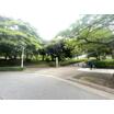 公園