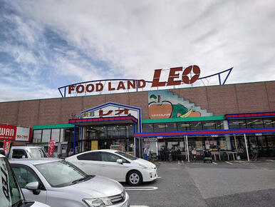 フードランドレオ誉田店