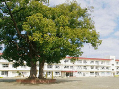 千葉市立誉田小学校