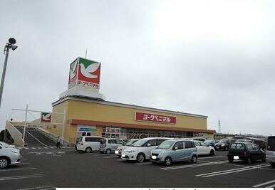 ヨークベニマル遠見塚店