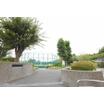 公園