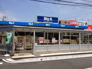 ビッグ・エー市川新田店