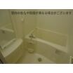 バス/シャワー