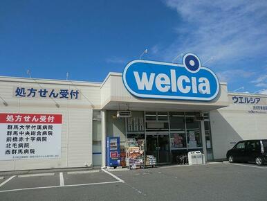 ウエルシア渋川行幸田店