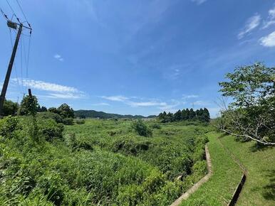 道路向こうには、いすみの自然豊かな里山の風景が見渡せます。