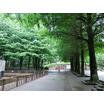 公園