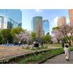 公園