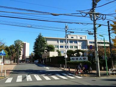 私立駒澤大学
