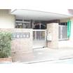 幼稚園、保育園