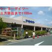 販売店
