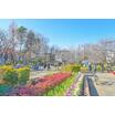 公園