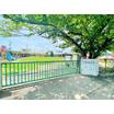 幼稚園、保育園