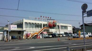 サンプラザ土佐ショッピング店