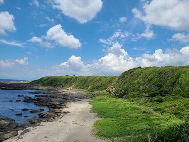 城ヶ島公園の南側は太平洋に突き出ていて自然豊かな環境です。