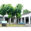 図書館