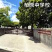 中学校