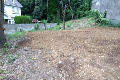 撮影日(2023年3月)