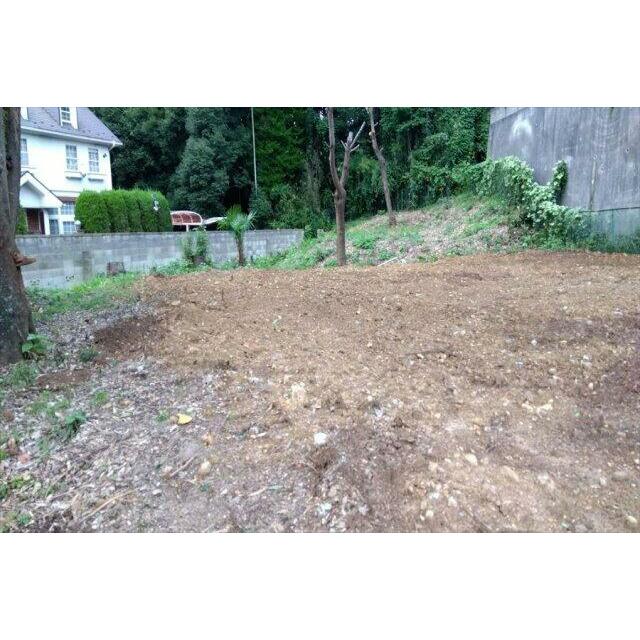 撮影日(2023年3月)