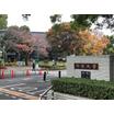 大学