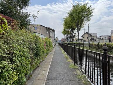 対象地西側にある水路を南向きに撮影